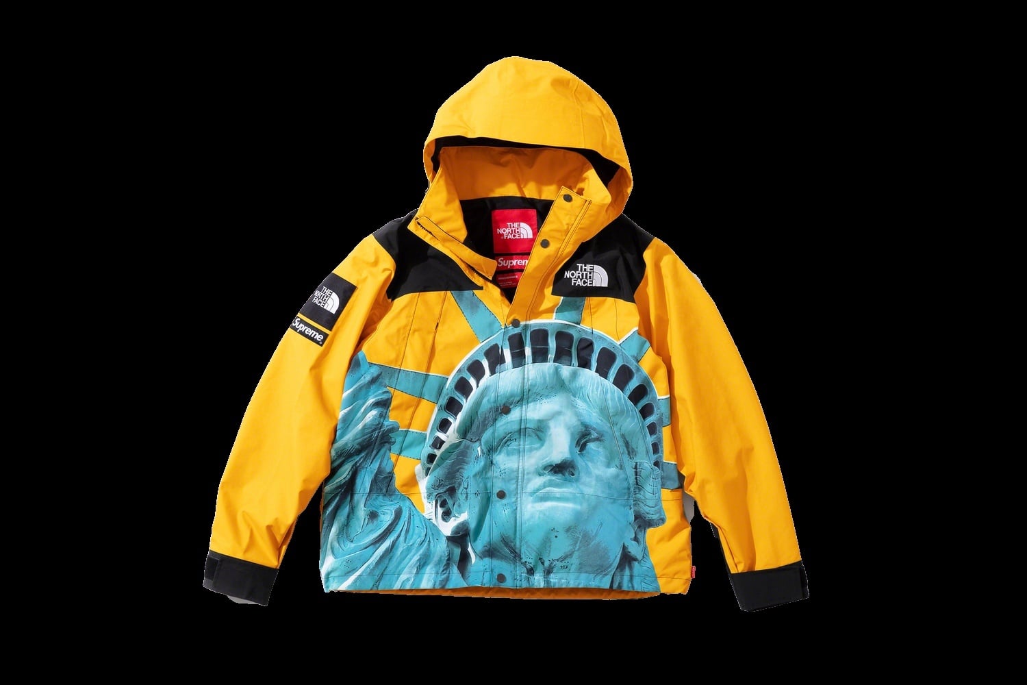 Supreme®/The North Face® Statue of Liberty Mountain Jacket view 21